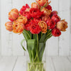 Bouquets de Tulipes - Printemps