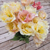 Bouquets de Tulipes - Printemps