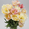 Bouquets de Tulipes - Printemps