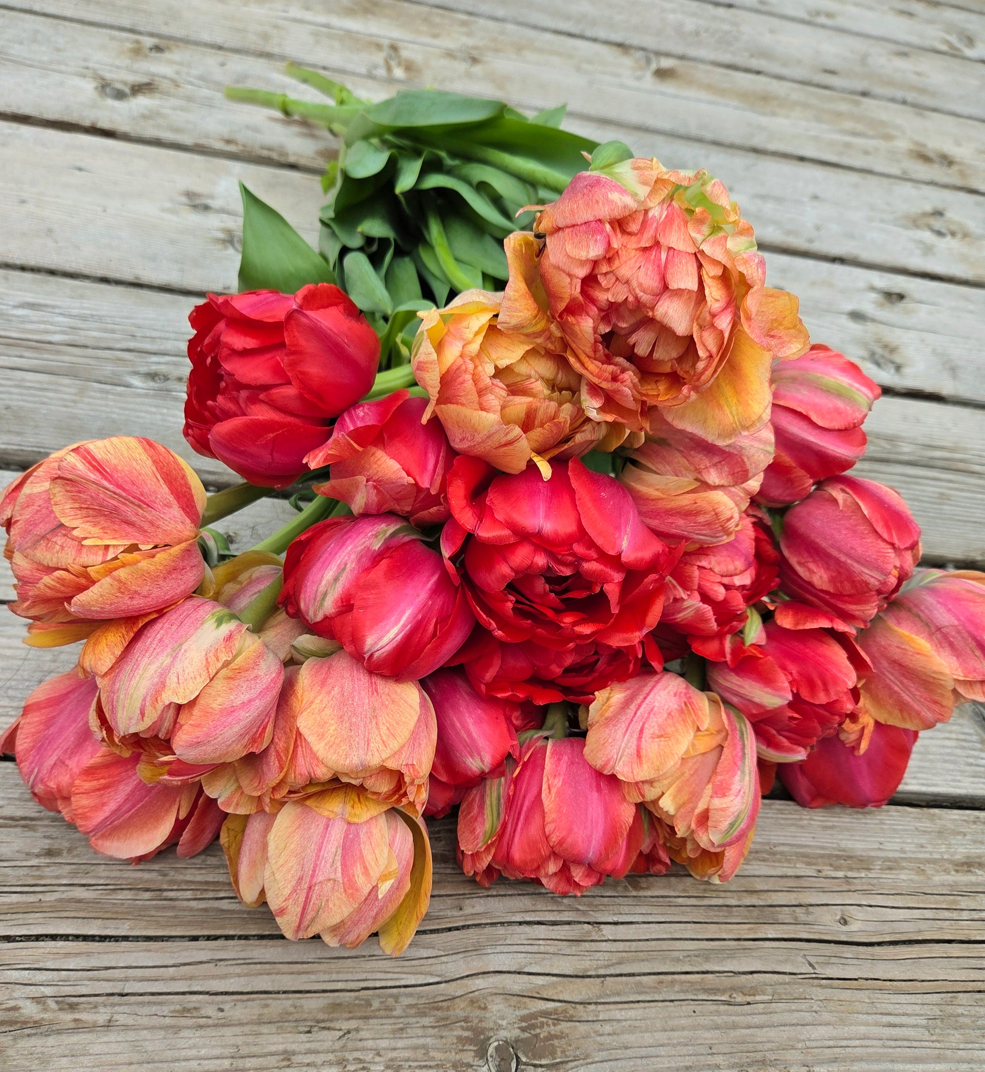 Bouquets de Tulipes - Printemps